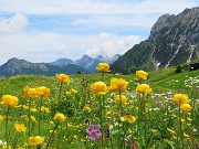 Bello il ‘Sentiero delle panchine ‘ ad anello da San Simone-Passo San Simone + Forcella Rossa-17giu25 - FOTOGALLERY